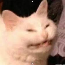 Создать мем: лицо кота мем, котик, кот с кривой улыбкой мем