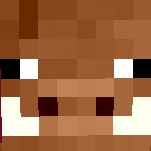 Create meme: minecraft pig face pixel, skins, Minecraft