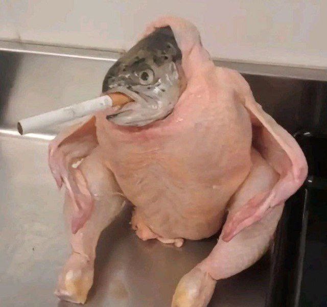 Create meme: fish in a chicken Smoking a cigarette, stoned fish, Smoking chicken