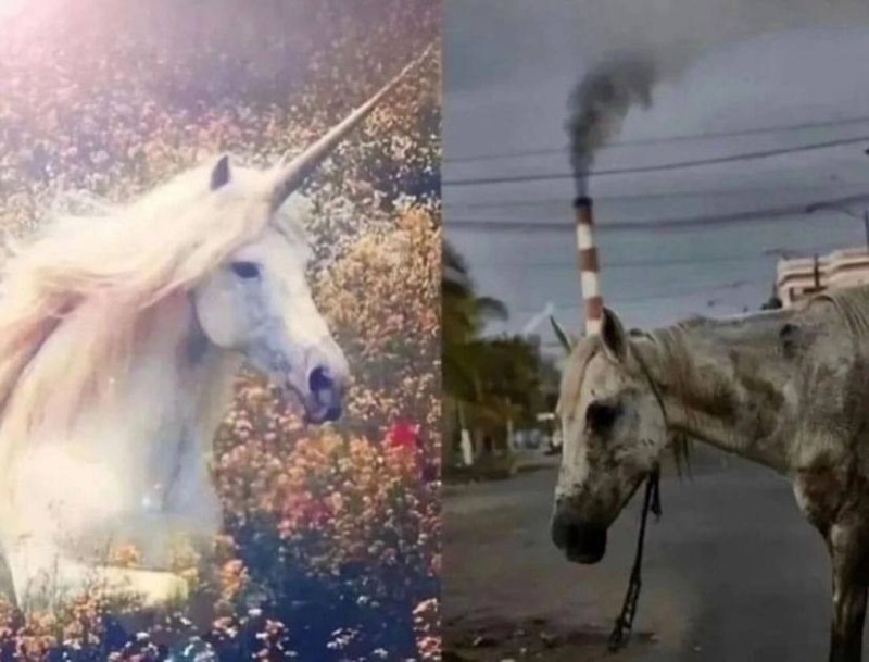 Create meme: unicorn horse, the unicorn is beautiful, unicorn live