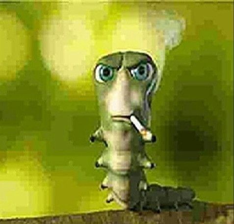 Create meme: Thomas Shelby the Caterpillar, a worm with a cigarette, caterpillar with a cigarette