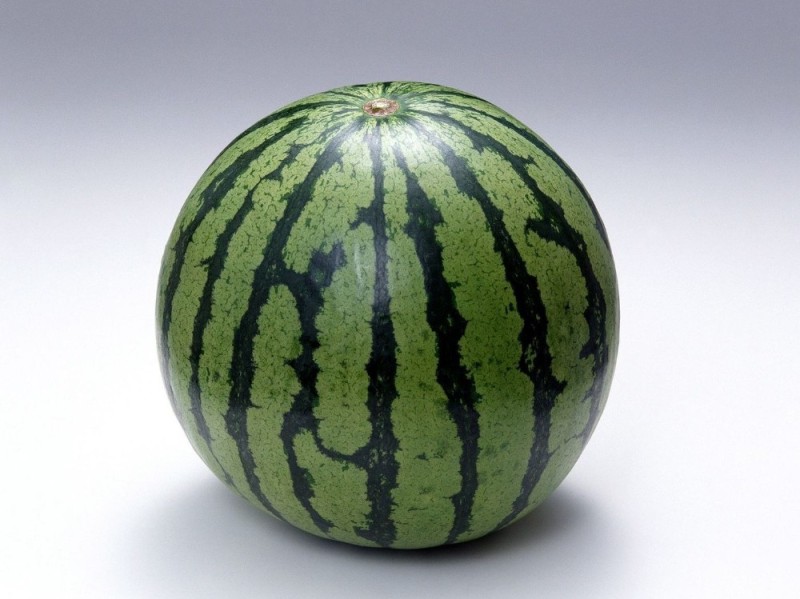 Create meme: watermelon fruit, watermelon ordinary, watermelon is big