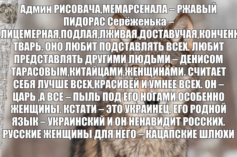 Волк одиночка картинка прикол