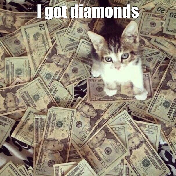 Create meme: cat with money, cash cat, cat with money 