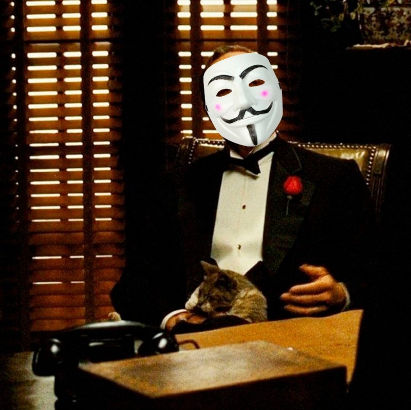 Create meme: don corleone with a cat, the godfather no respect, doing it without respect