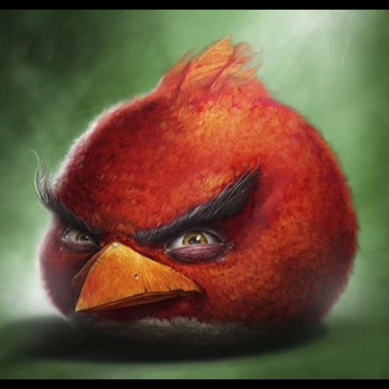 Создать мем: энгри бердз ред злой, красная птичка из angry birds, sam spratt angry birds