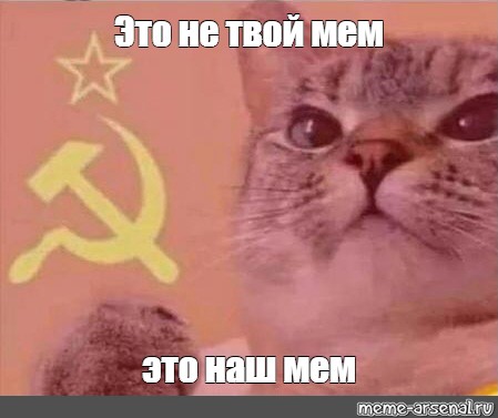 Создать мем: null