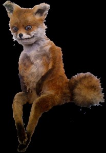 Create meme: Fox, a stuffed Fox, stoned Fox