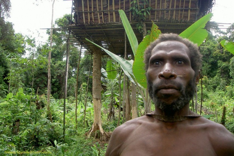 Create meme: papua new guinea, new guinea, new guinea. the korowai tribe