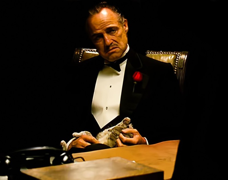 Create meme: Godfather, you ask without respect, don corleone father, don Corleone Smoking a cigar