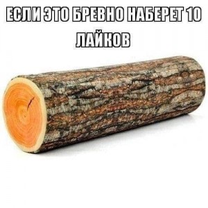 Создать мем: старое бревно, бревнышко, если этот бутерброд наберет 10 лайков