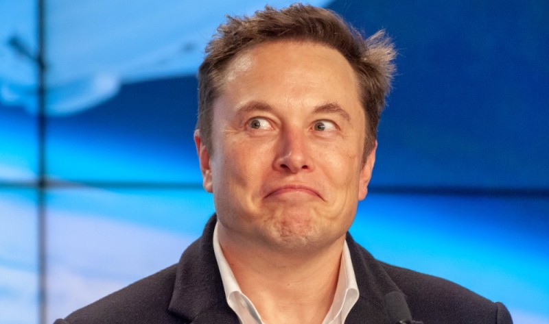 Create meme: elon musk, Ilona musk, musk Elon musk