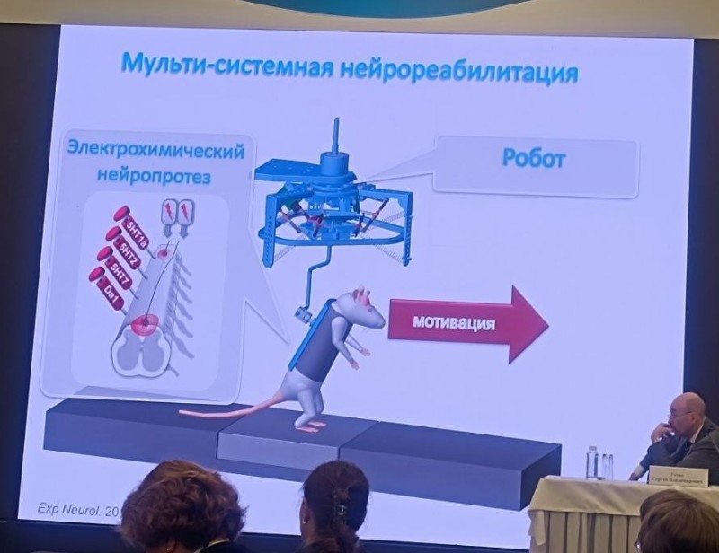 Создать мем: нейроигры для школьников, нейробот, нейротехнологии