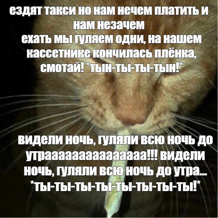 На нашем кассетнике не кончилась пленка? Почему британцы массово покупали кассеты в 2020-м