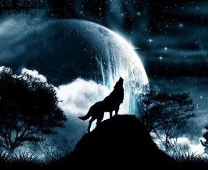 Создать мем: киш волки воют на луну, волк ночной, волк на фоне луны