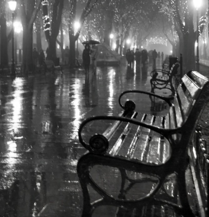 Создать мем: туман ночь город, ночной дождь в парке, черно белый дождь