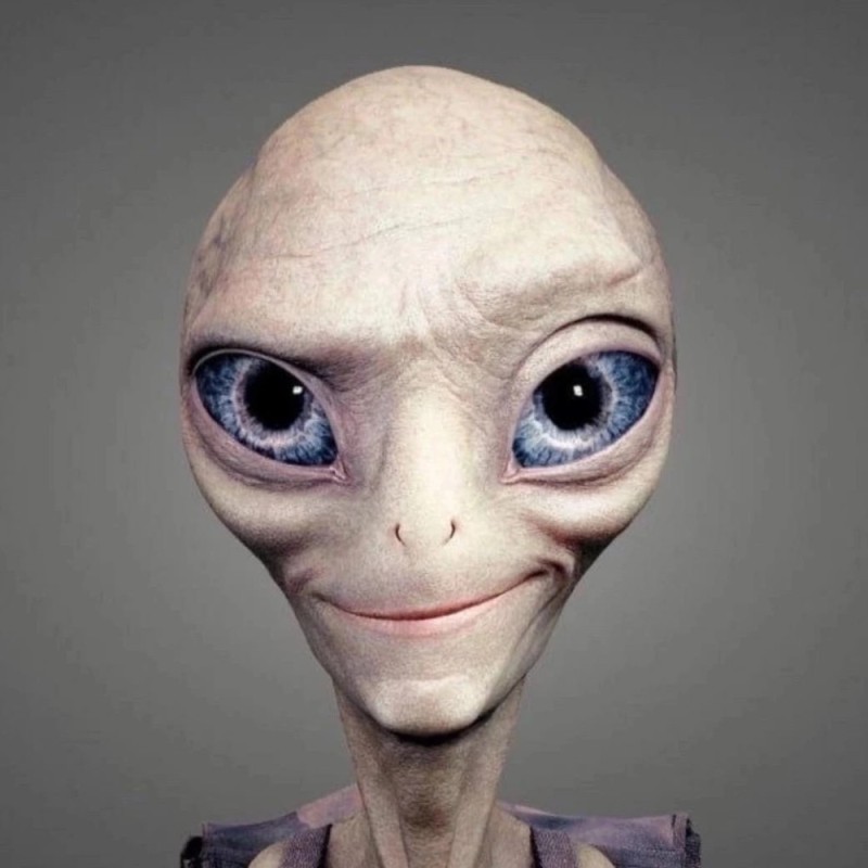 Create meme: The alien is Paul, gender secret materialchik , The alien is Paul