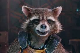 Create meme: meme raccoon, rabid raccoon, guardians of the galaxy