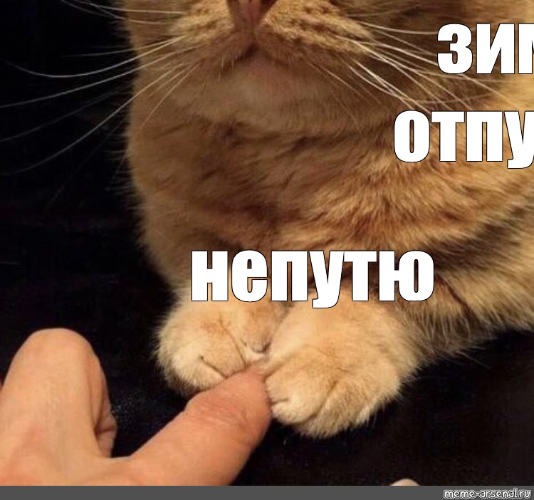 Ну отпусти