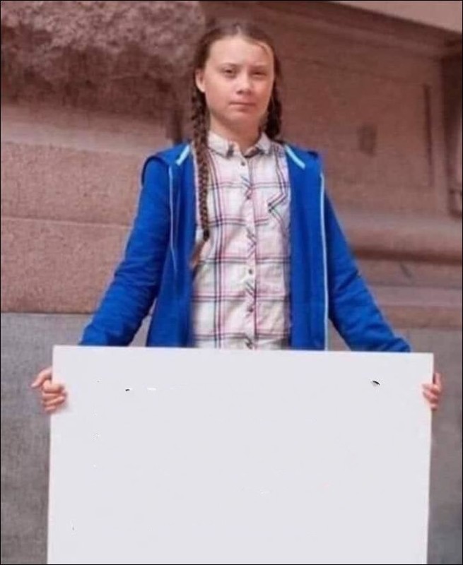 Create meme: Greta thunberg stop it, Greta Thunberg stop killing, gretta thunberg memes