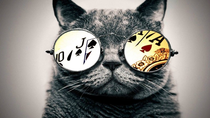 Создать мем: кот в круглых очках