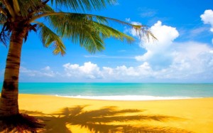 Создать мем: пляжный отдых, размытое изображение, пляж солнце