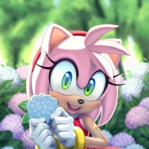 Create meme: sonic, Amy rose