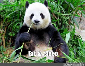 Create Meme Calm Panda Eats Bamboo Calm Panda Eats Bamboo Giant Panda The Giant Panda Pictures Meme Arsenal Com