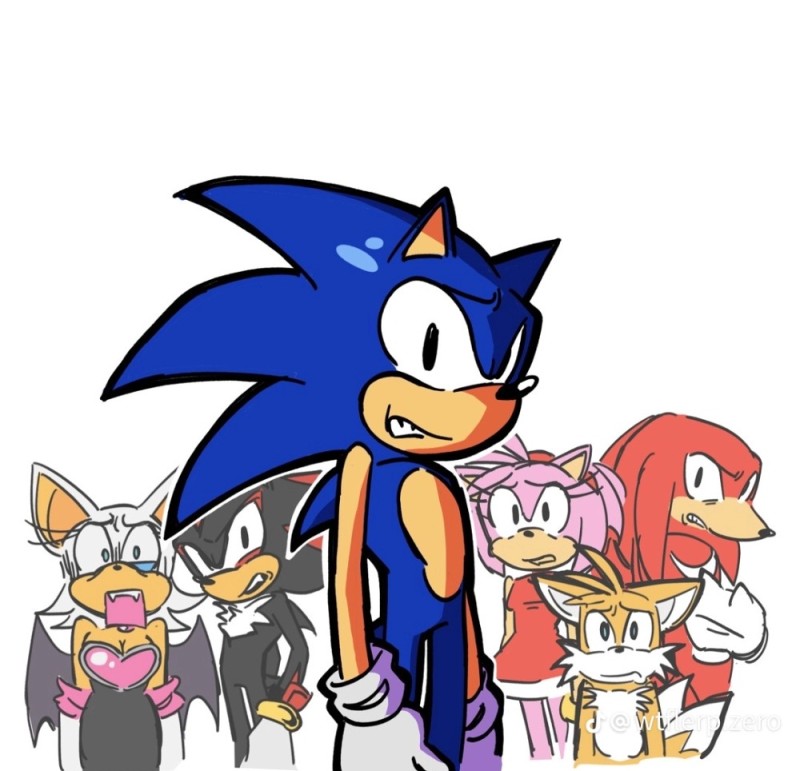 Create meme: Sonic Sonic and his friends, Sonic x Sonic x, Sonic and Tails