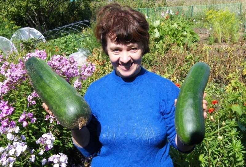 Create meme: zucchini genshin, large zucchini, A cheerful zucchini