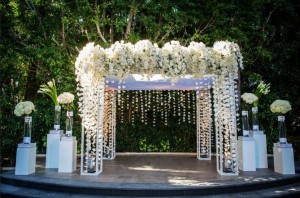 Create meme: wedding decor, wedding arch