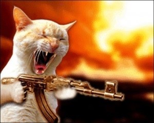 Создать мем: котик с автоматом, кот злой, кот стреляет