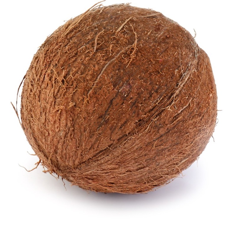 Create meme: coconut , coconut on white background, 1 piece coconut