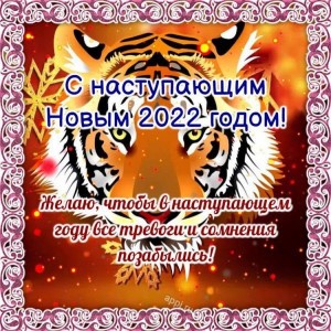 Создать мем: 2022 год тигра, новый год тигра, новогодний стол на 2022 год тигра