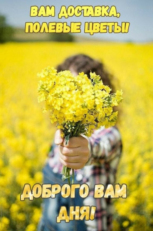 Create meme: wild flowers , flowers , have a nice day good morning