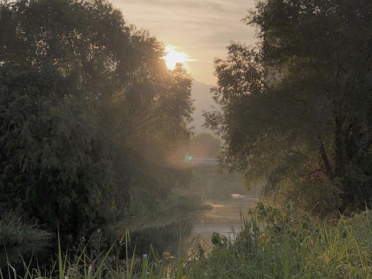 Create meme: morning summer, morning on the river, morning landscape