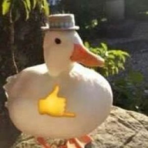 Create meme: duck