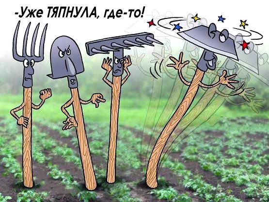 Создать мем: смешно о дачниках, огород карикатура, дачный юмор