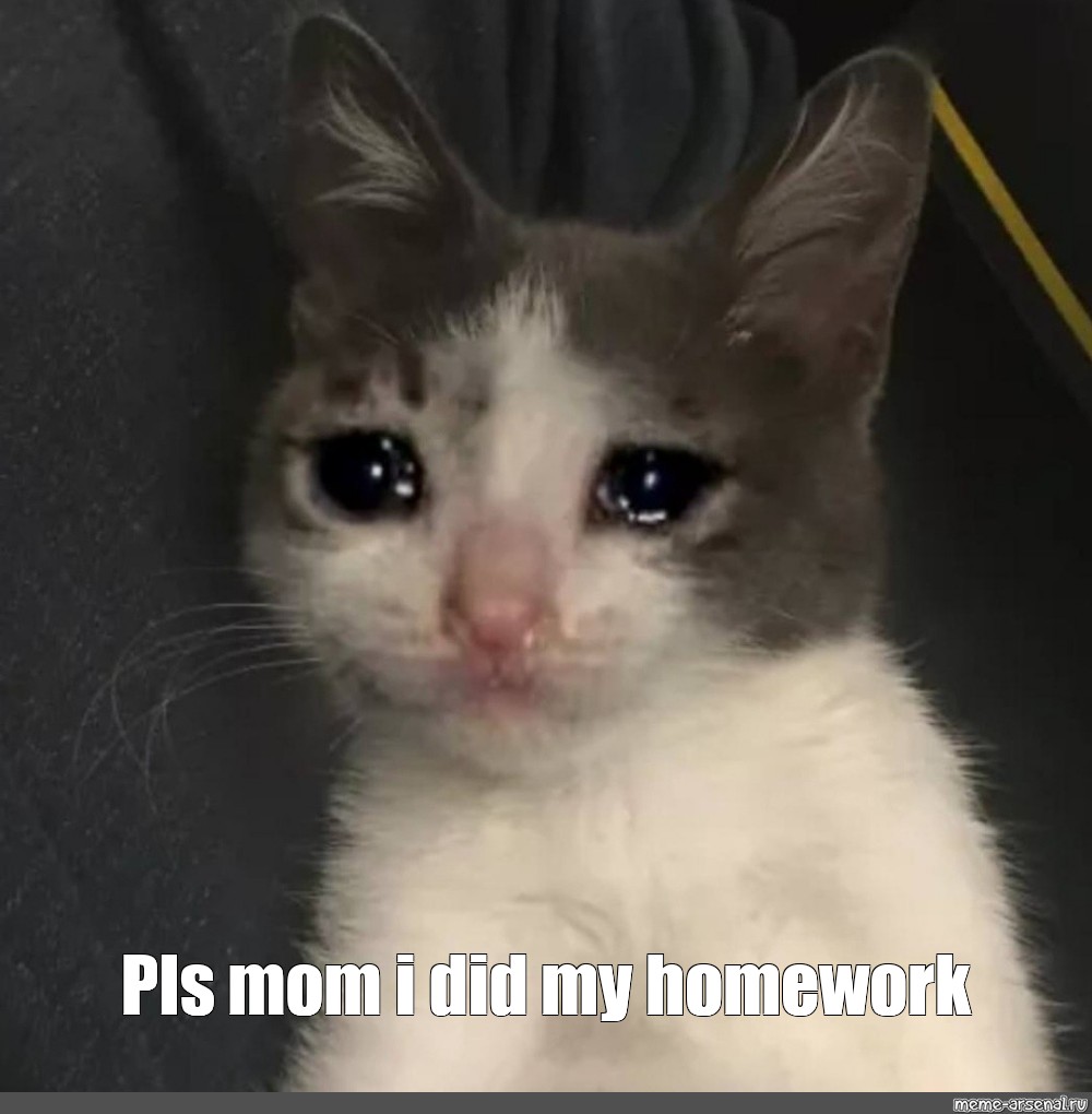 my mom did my homework for me