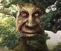 Create meme: tree, living tree