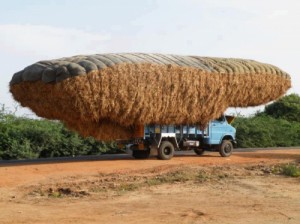 Create meme: hasat, truck driver, hay