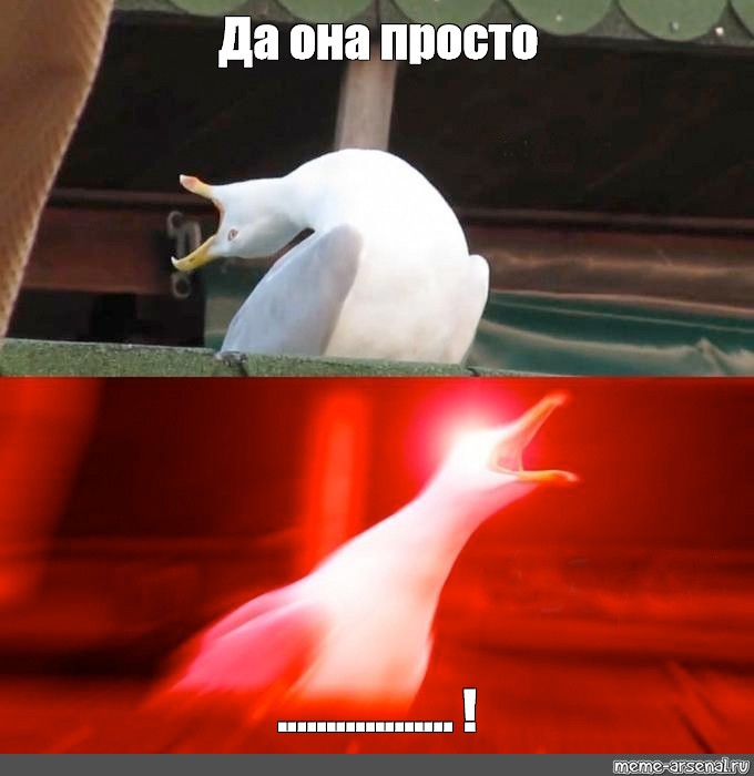 Создать мем: null