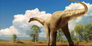 Create meme: big dinosaur, dinosaur Diplodocus