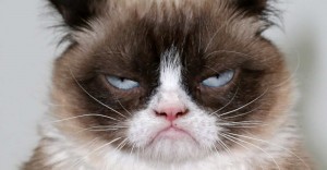 Создать мем: очень сердитый кот, грампи, недовольный кот мяукает