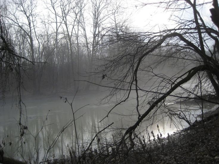 Create meme: fog , pond , river 