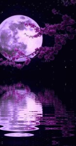 Создать мем: фиолетовая луна обои, purple moon, пурпурная луна