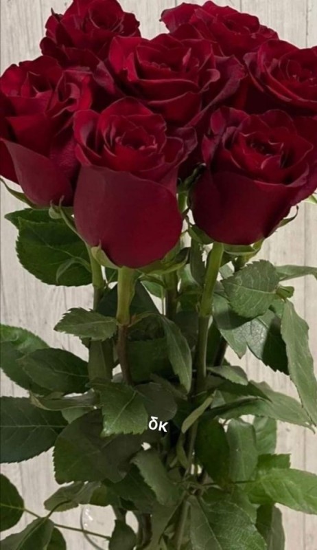 Create meme: imported roses, red roses , big roses