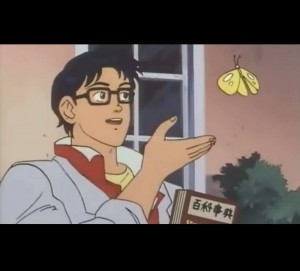 Create meme: meme anime with butterfly pattern, anime 1990, is this a pigeon