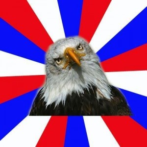 Создать мем: the eagle, american flag, bald eagle