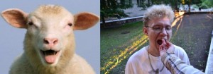 Create meme: boy, funny goat, sheep
